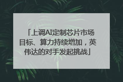 上调AI定制芯片市场目标、算力持续增加，英伟达的对手发起挑战