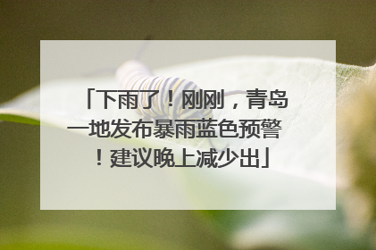 下雨了！刚刚，青岛一地发布暴雨蓝色预警！建议晚上减少出