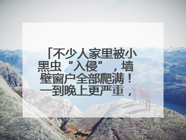 不少人家里被小黑虫“入侵”，墙壁窗户全部爬满！一到晚上更严重，还有一股臭味