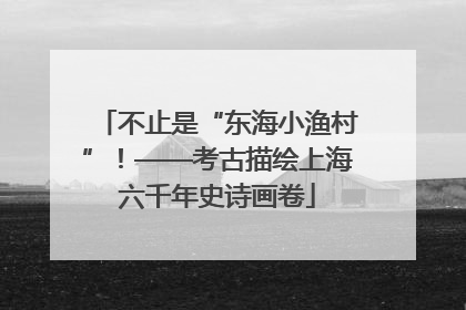 不止是“东海小渔村”！——考古描绘上海六千年史诗画卷