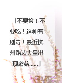 不要捡！不要吃！这种有剧毒！最近杭州路边大量出现蘑菇……