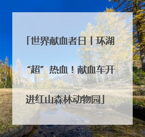 世界献血者日丨环湖“超”热血！献血车开进红山森林动物园