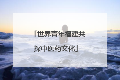 世界青年福建共探中医药文化