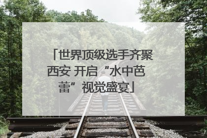 世界顶级选手齐聚西安 开启“水中芭蕾”视觉盛宴