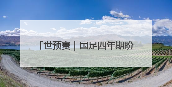 世预赛｜国足四年期盼再度破灭，走过的路，有太多的“意难平”