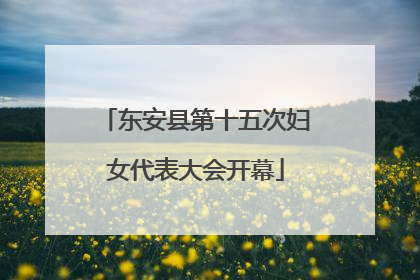 东安县第十五次妇女代表大会开幕