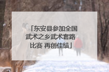东安县参加全国武术之乡武术套路比赛 再创佳绩