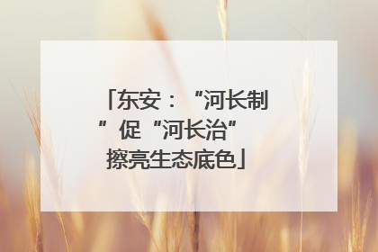 东安：“河长制”促“河长治” 擦亮生态底色