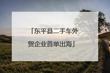 东平县二手车外贸企业首单出海