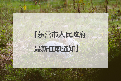 东营市人民政府最新任职通知