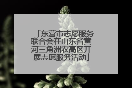 东营市志愿服务联合会在山东省黄河三角洲农高区开展志愿服务活动