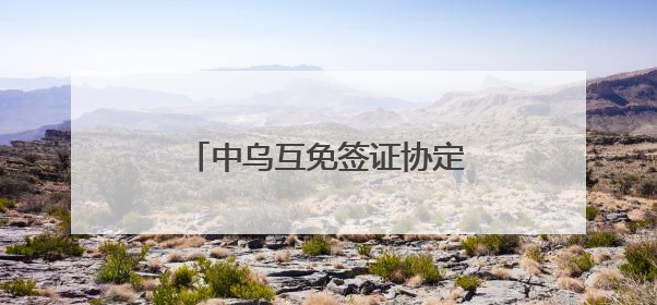 中乌互免签证协定今日生效 首架免签入境航班已抵达