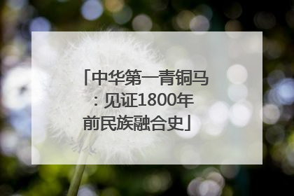 中华第一青铜马：见证1800年前民族融合史