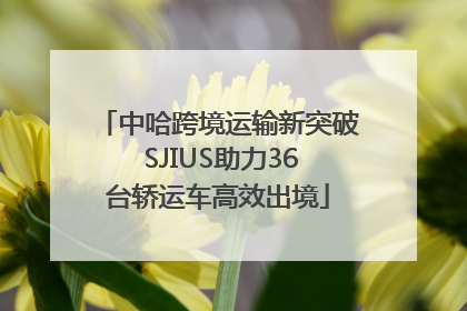 中哈跨境运输新突破 SJIUS助力36台轿运车高效出境