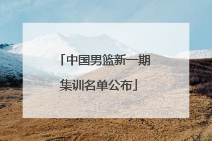中国男篮新一期集训名单公布