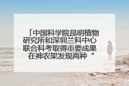 中国科学院昆明植物研究所和深圳兰科中心联合科考取得重要成果 在神农架发现两种“国保”级兰花