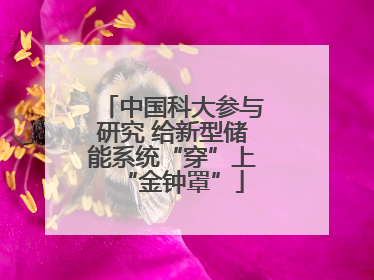 中国科大参与研究 给新型储能系统“穿”上“金钟罩”