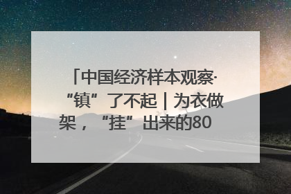 中国经济样本观察·“镇”了不起｜为衣做架，“挂”出来的80亿元“衣架产业”