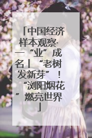 中国经济样本观察·一“业”成名丨“老树发新芽”！“浏阳烟花”燃亮世界