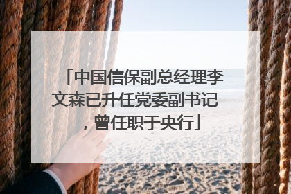 中国信保副总经理李文森已升任党委副书记，曾任职于央行