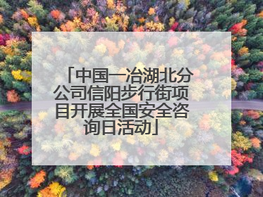 中国一冶湖北分公司信阳步行街项目开展全国安全咨询日活动