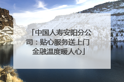 中国人寿安阳分公司：贴心服务送上门 金融温度暖人心