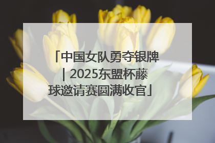 中国女队勇夺银牌｜2025东盟杯藤球邀请赛圆满收官