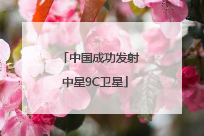 中国成功发射中星9C卫星