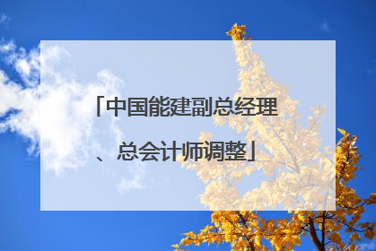 中国能建副总经理、总会计师调整