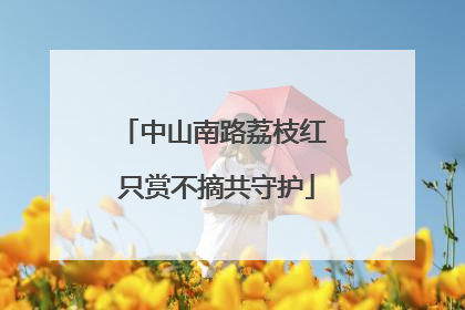 中山南路荔枝红 只赏不摘共守护