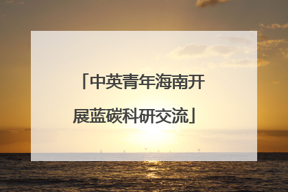 中英青年海南开展蓝碳科研交流