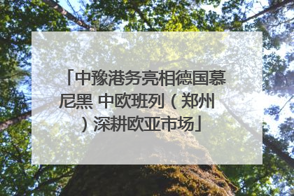 中豫港务亮相德国慕尼黑 中欧班列（郑州）深耕欧亚市场