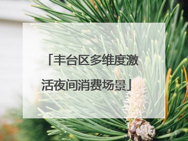 丰台区多维度激活夜间消费场景