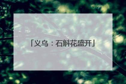 义乌：石斛花盛开