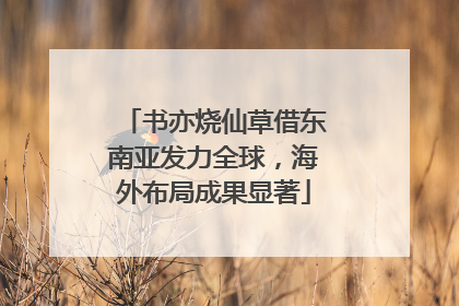 书亦烧仙草借东南亚发力全球，海外布局成果显著