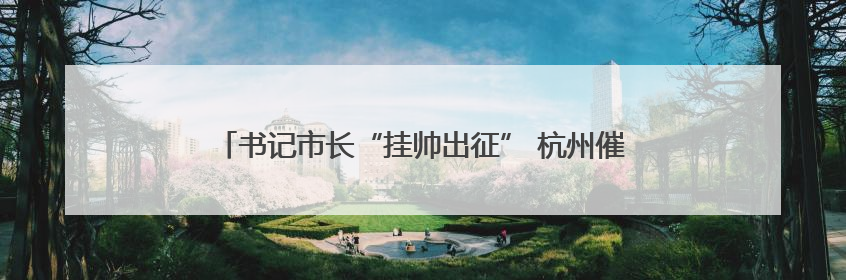 书记市长“挂帅出征” 杭州催动“小龙们”向AI高地进发