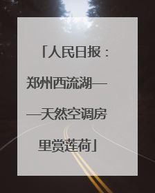 人民日报：郑州西流湖——天然空调房里赏莲荷