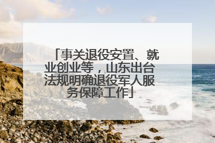 事关退役安置、就业创业等，山东出台法规明确退役军人服务保障工作