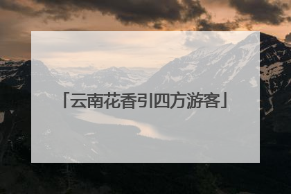 云南花香引四方游客