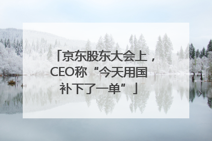京东股东大会上，CEO称“今天用国补下了一单”