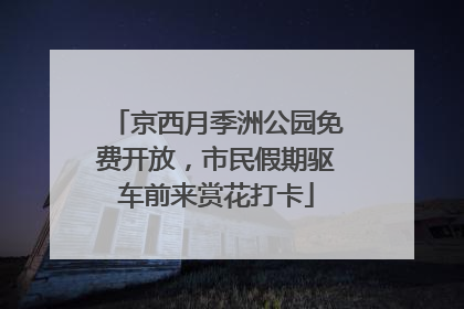 京西月季洲公园免费开放，市民假期驱车前来赏花打卡