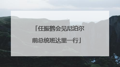 任振鹤会见尼泊尔前总统班达里一行