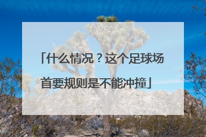 什么情况？这个足球场首要规则是不能冲撞