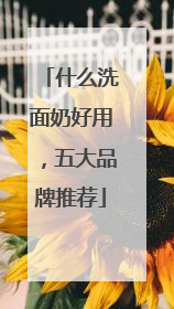 什么洗面奶好用，五大品牌推荐