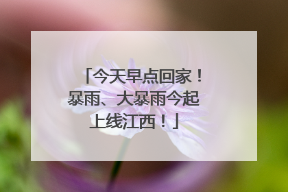 今天早点回家！暴雨、大暴雨今起上线江西！