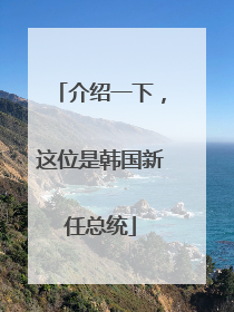 介绍一下，这位是韩国新任总统