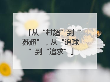 从“村超”到“苏超”，从“追球”到“追求”