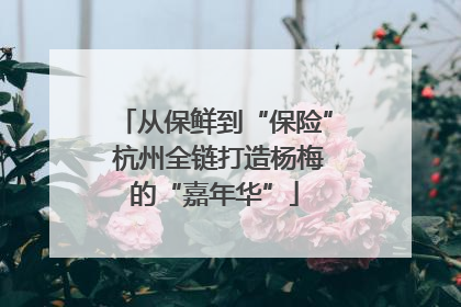 从保鲜到“保险” 杭州全链打造杨梅的“嘉年华”