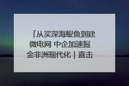 从买深海鳀鱼到建微电网 中企加速掘金非洲现代化｜直击中非经贸博览会