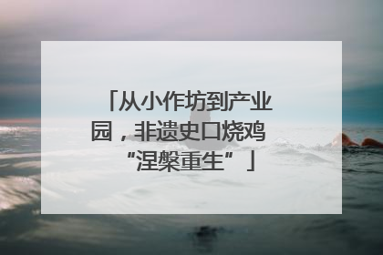 从小作坊到产业园，非遗史口烧鸡“涅槃重生”